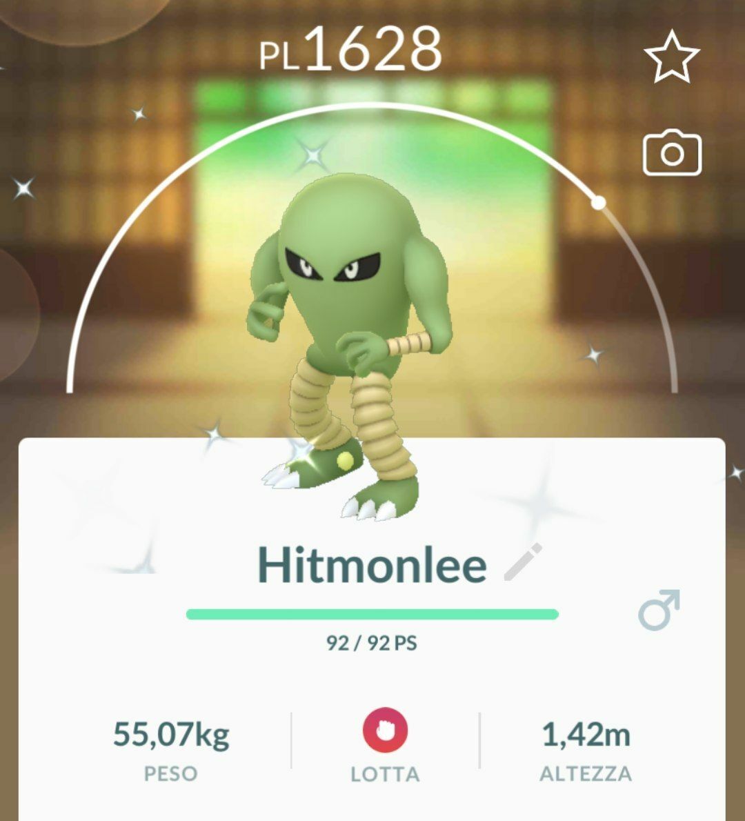 Hitmonlee - Pokémon GO