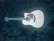 Oscar Schmidt Acoustic Guitar