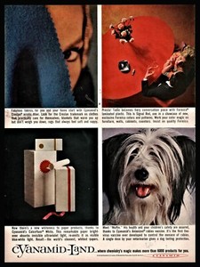 1960 BEARDED COLLIE Portrait Photo in CYANAMID LAND Vintage PRINT AD