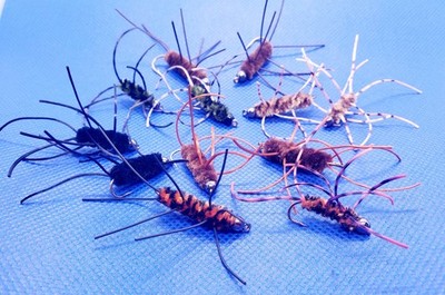 12 Tungsten Bead Head Rubber Legs Nymph SELECTION, 12 Pat's Rubber Legs,