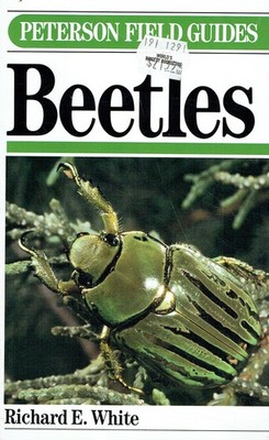 White, Richard E. - Beetles: A Field Guide to the Beetles of North Americ 499744