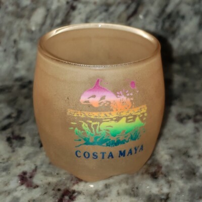 Coata Maya Orange Frosted Shotglass 