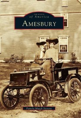 Amesbury, Paperback by Stevens, Pamela Mutch, Brand New, Free shipping in the US
