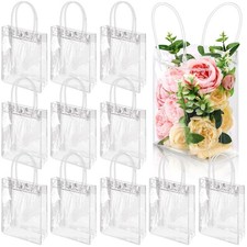 Dyrfolm 24 Clear Plastic Gift Bags with Handle, Reusable Transparent Plastic ...