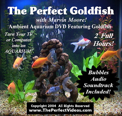 Virtual AQUARIUM DVD Fish Tank Video Real Goldfish with Bubbles Audio  Soundtrack 