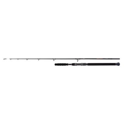 SHIMANO Beastmaster AX Catfish Vertical Spin 1,85m bis 200g by TACKLE-DEALS !!!