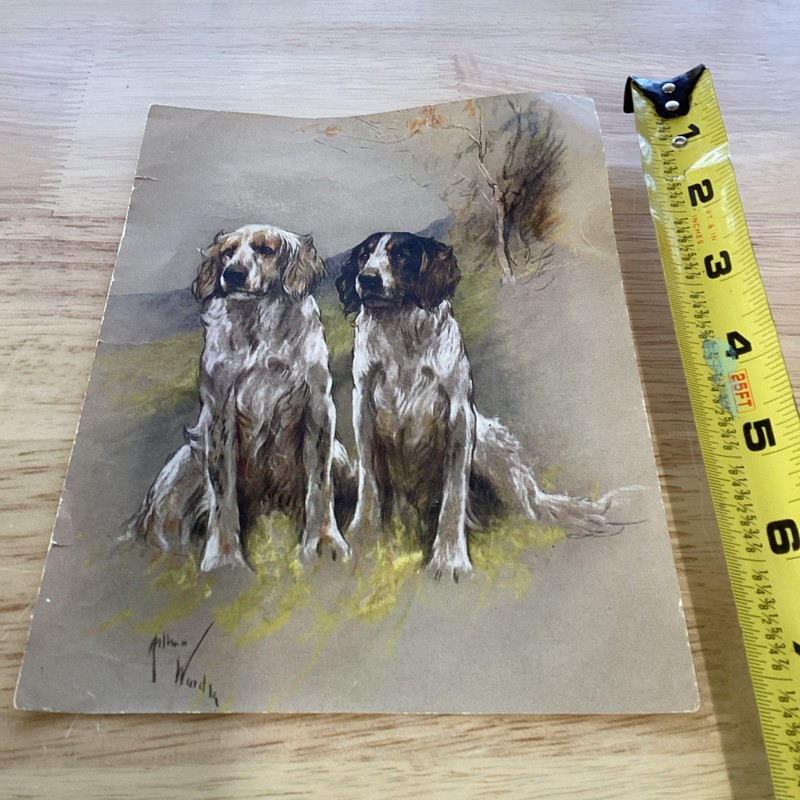 Print   signed Springer Spaniels   Intge 