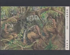 c3 WW2 Pacific War New Guinea Front Japan army Military postcard