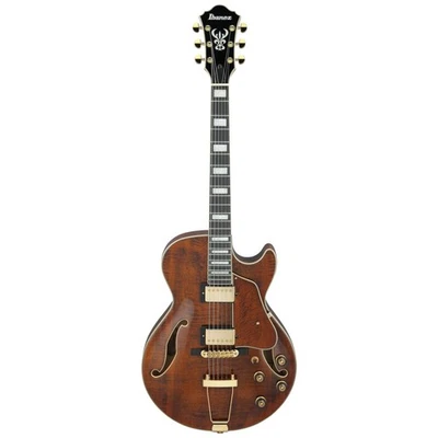 Ibanez AG95MG-DA - Bild 1 von 4