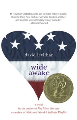 Wide Awake (Paperback or Softback)