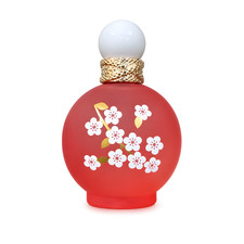 Britney Spears Fantasy in Bloom 100ml EDT  Vinted Discontinued