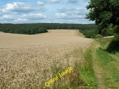 Photo 6x4 Wheat field Singleton/SU8713 Public footpath 3013 to Littlewoo c2012