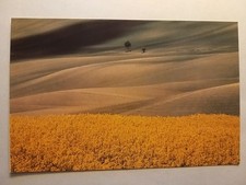 Modena - Franco Fontana (Fotografo) - Cartolina - Paesaggio 1990.