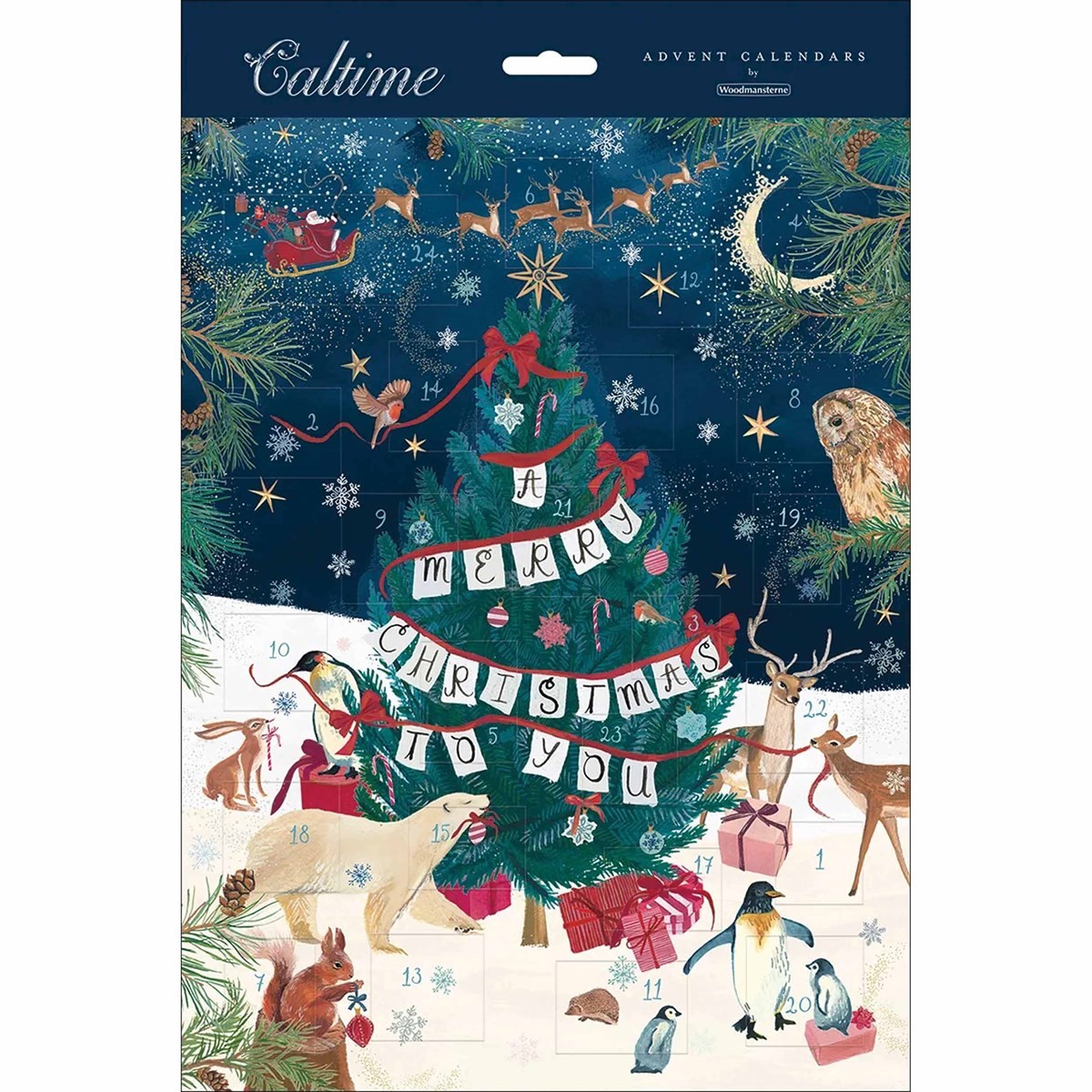 A Merry Christmas To You Portrait Traditional Advent Calendar, Gift