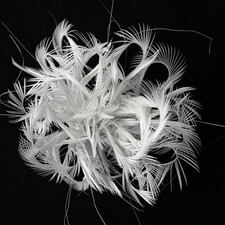 Twisted Goose Biot Feather Mount Flower Millinery Hat Fascinator Party Decor