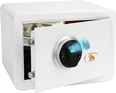 Biometric Fingerprint Home Safe, 1.2 Cubic Feet Digital Security Safe Lock Box, 