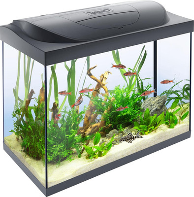 Tetra Starter Line Aquarium Komplett-Set 80 L mit LED Filter Heizer Futter