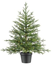 Image of Pre-Lit Potted Christmas Tree, Douglas Fir, Artificial, 3 ft