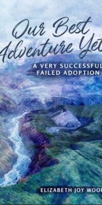 Our Best Adventure Yet Book - A Very Successful Failed Adoption 