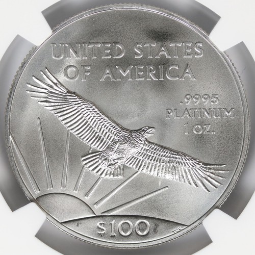 Statua della Libertà Aquila di Platino 2019 $100 NGC MS69 - Foto 4 di 4