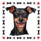 Austrian Pinscher Dog Sticker A216