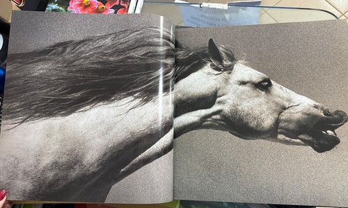VAVRA'S VISION EQUINE IMAGES, 60-year Retrospective World’s Premier Phot. Horse - Foto 2 di 8