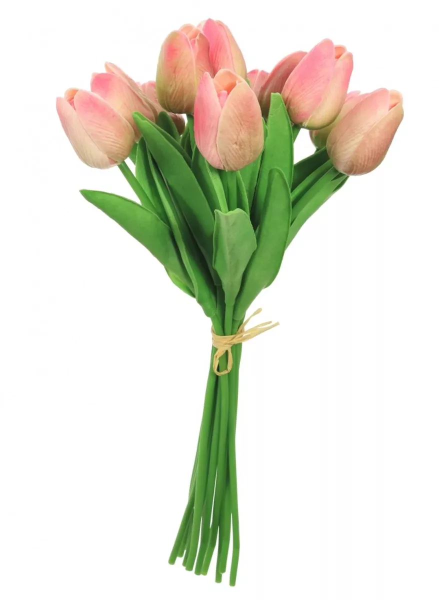Bunch 2024 of tulips