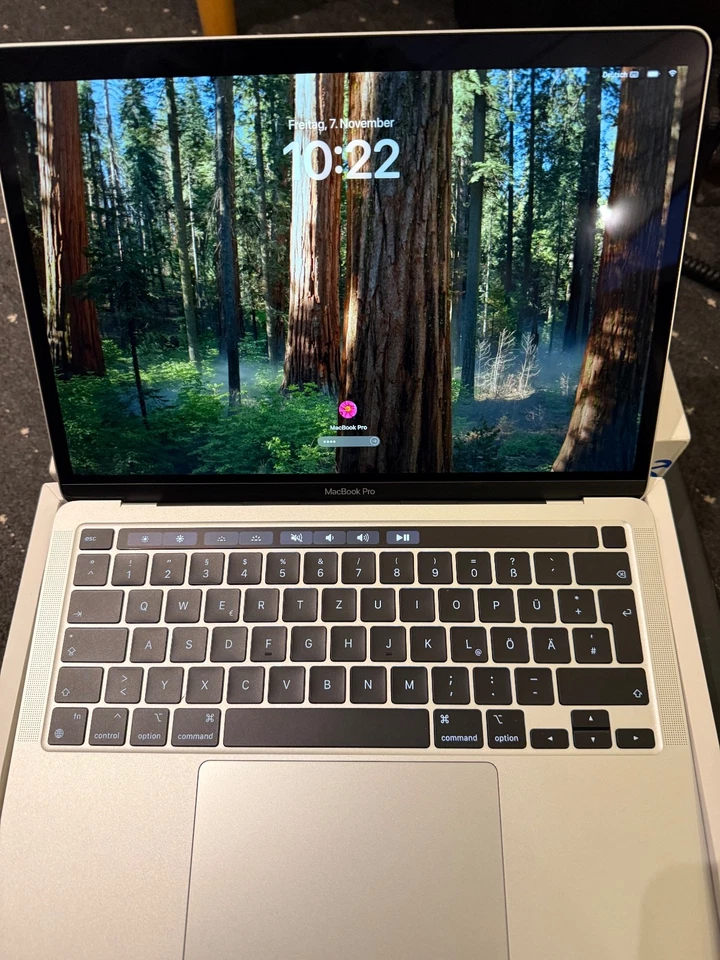 Apple MacBook Pro 13 Zoll (256GB SSD, M1, 8GB) Laptop - Silber - MYDA2D/A