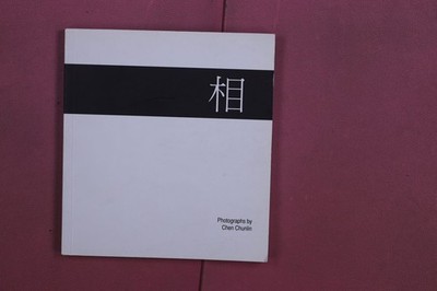 353011 Chen Chunlin ? Lessons Learned in One Day