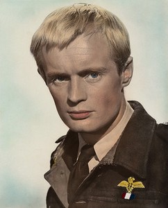 David McCallum - The Great Escape (1963) - 8 1/2 X 11 | eBay