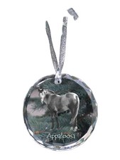 Appaloosa médaille en cristal avec un cheval Art-Dog