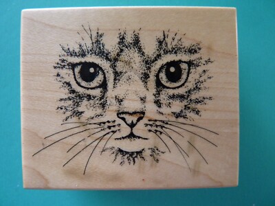 Sweet Realistic Kitten/Cat Face, Detailed E-951 PSX Rubber Stamp