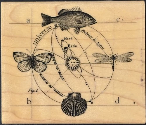 Tin Can Mail 19th Century German Astronomical Diagram Rubber Stamp