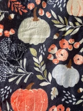 Celebrate Fall Velvety Plush Harvest Gourds & Pumpkins Navy Throw Blanket, 50x60