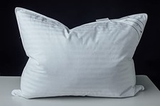 Goose Down Feather Soft Pillows One Pillow 100 Standard Pack of 1 Stripe