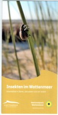 Insekten im Wattenmeer - Faltblatt / Infoflyer