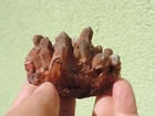 Cactus Quartz from Kleinwaltersdorf near Freiberg in Saxony