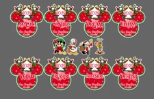 DCL 4"x4" Merrytime Door Magnet 5 pc Set with Ship Name, You Pick The Year