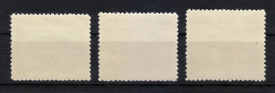 Albania 1961 MNH Mi 627-629 Sc 589-591 animals Otter , Badger . Brown bear ** - Image 2 of 2