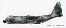 HÉRCULES - IMPRESIÓN PERFIL RAF LYNEHAM.