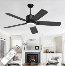 Black Ceiling Fan