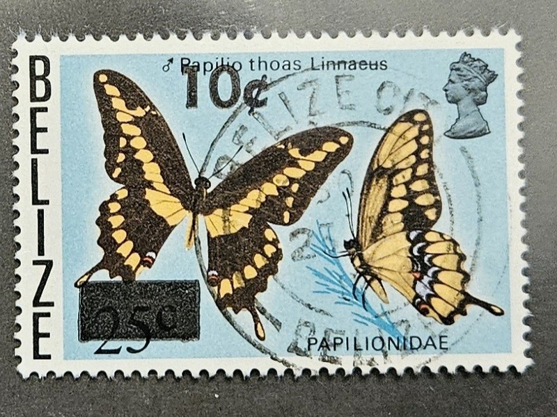 BELIZE 1980 10c Revaluation (Scott 424; SG 560) USED