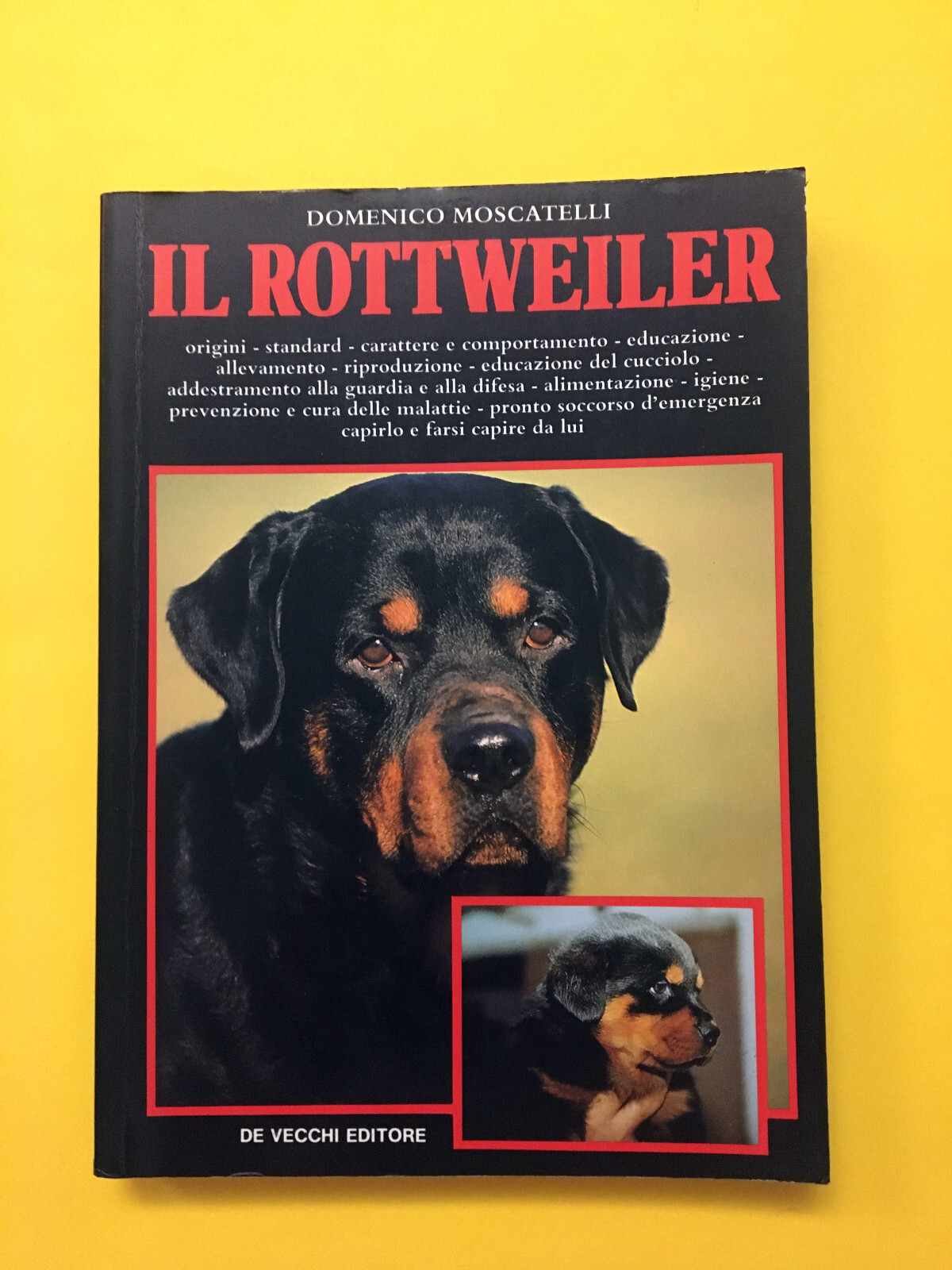 Foto 1 di 8