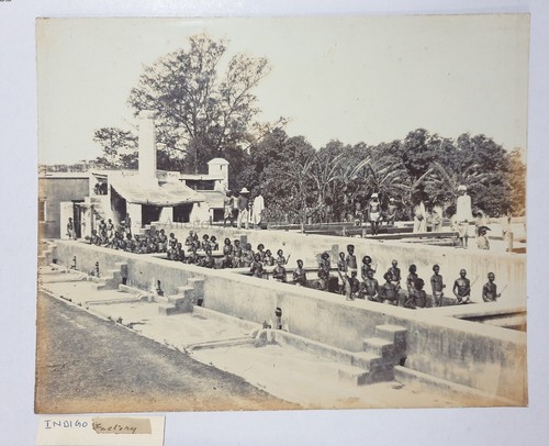 India Photo INDIGO FACTORY TRIBALS & BRITISH OFFICER 9.50in x 7.5 - 第 1/4 張圖片