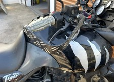 Triumph Tiger 955i - Grips Aluminium Protectors [KR]