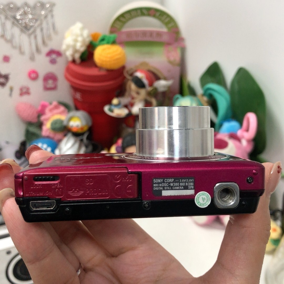 Sony Cyber-Shot DSC-W380 Digital Camera 14.1 MP 5x Optical Zoom