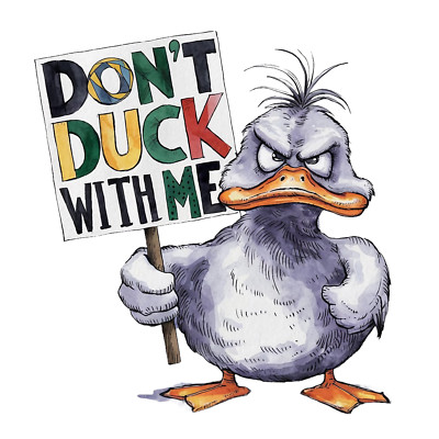 Funny Duck Quote Wall Decal Sticker 18X18cm Large
