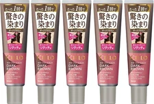 hoyu Cielo Color Treatment for Retouch Dark Brown from Japan / 140g x 5sets