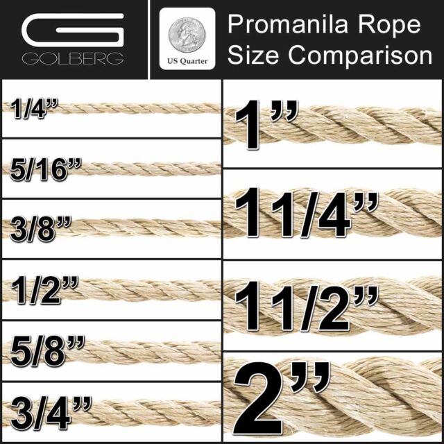 5//8 inch 3//8 inch 5//16 inch 3 Strand Twisted ProManila Polypro Rope Several Lengths PARACORD PLANET 1-1//2 inch 1//2 inch 1-1//4 inch 3//4 inch 2 inch Sizes 1//4 inch