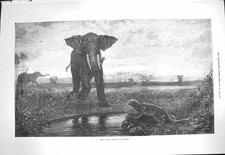 Original Old Antique Print 1871 Indian Desert Decamps Elephant Tiger Trees 19th
